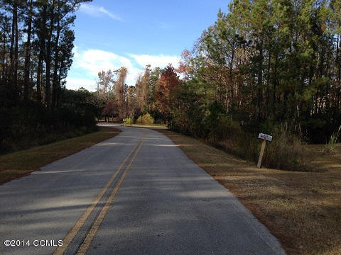 308 Anchor Road Beaufort, NC 28516 - Photo 15 of 16 Street scene