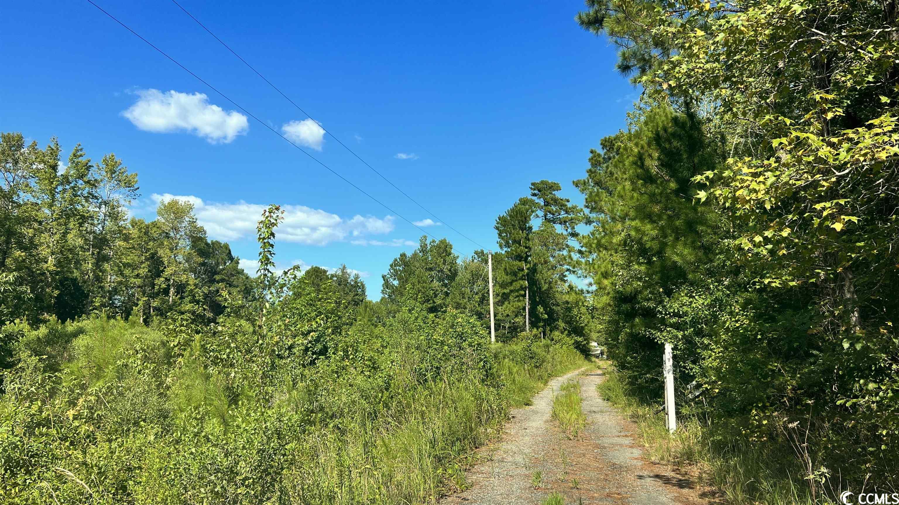 2711 Long Bay Road Longs, SC 29568 - Photo 11 of 12 Gallery Image 11