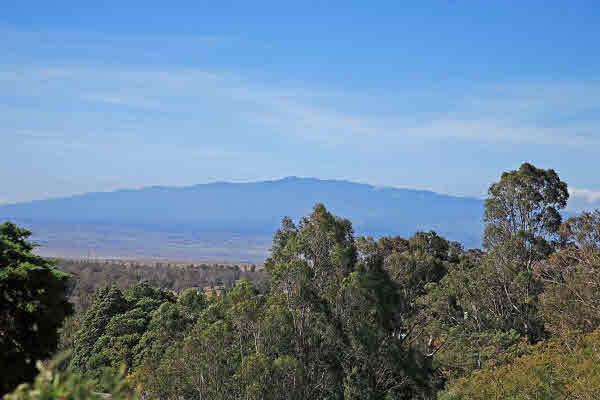 22 Hokuula Road Kamuela, HI 96743 - Photo 10 of 16 Gallery Image 10