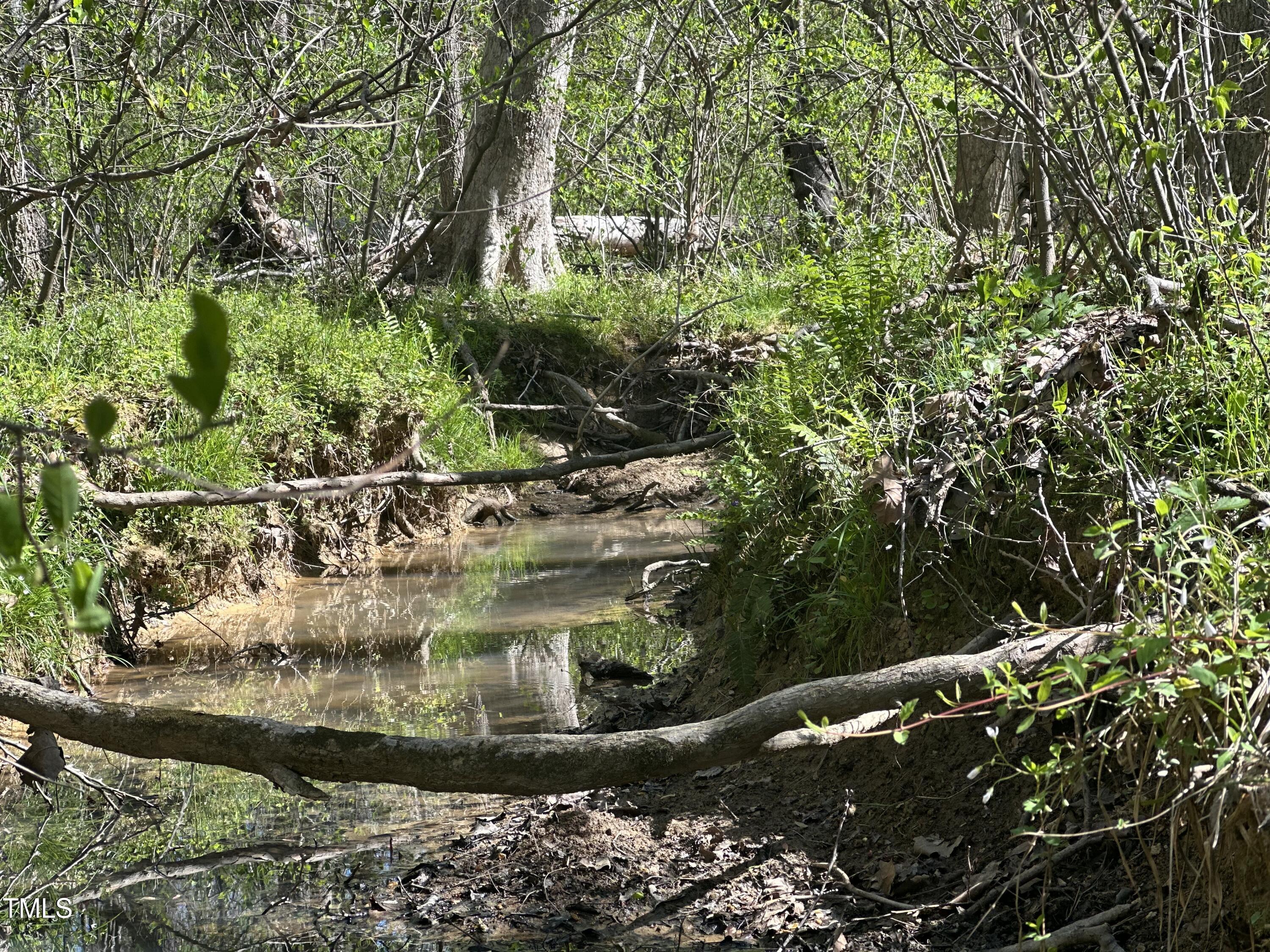 616 Watkins Road Hillsborough, NC 27278 - Photo 12 of 28 IMG_4533