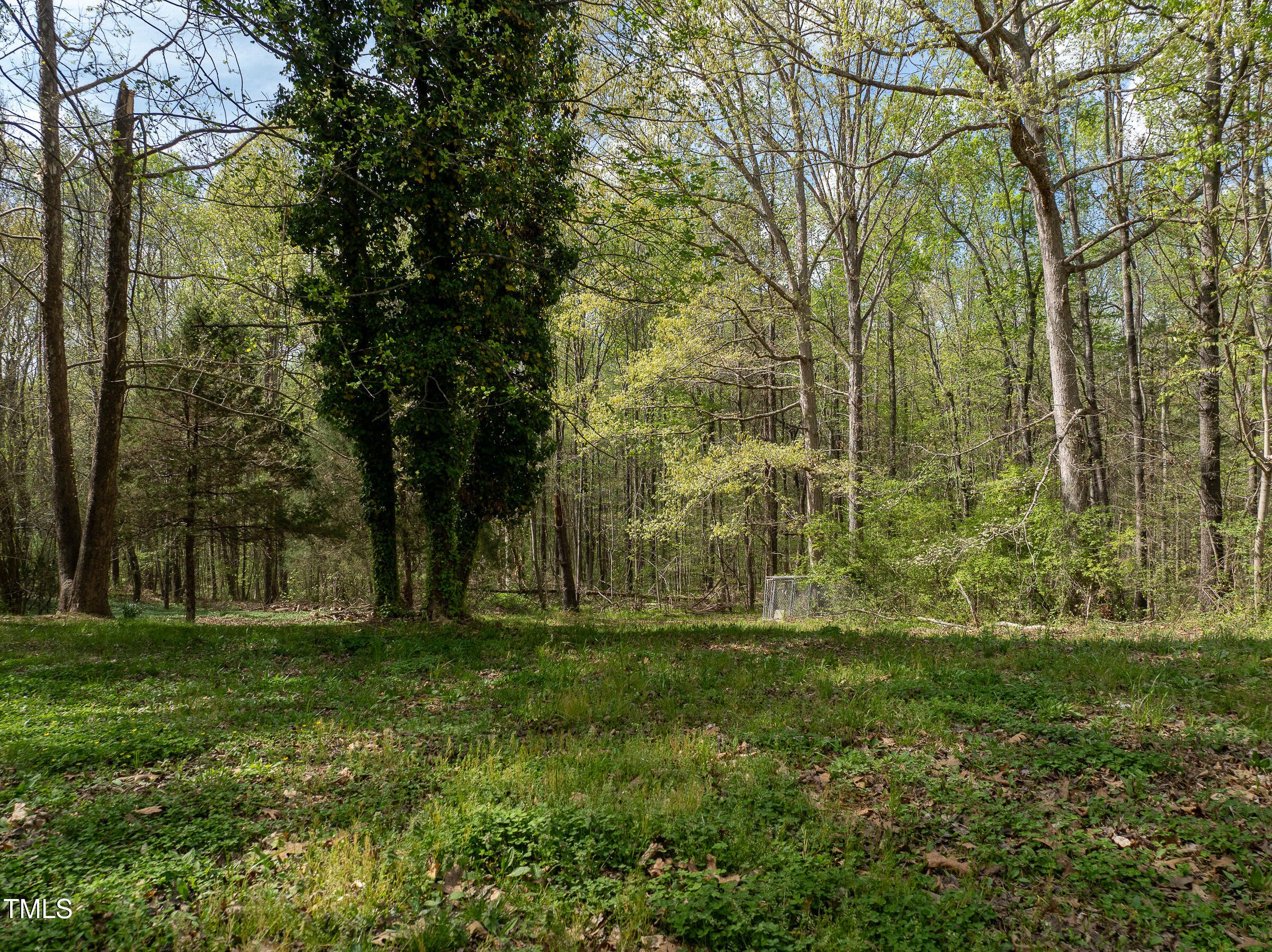 616 Watkins Road Hillsborough, NC 27278 - Photo 13 of 28 WATKINS RD-53
