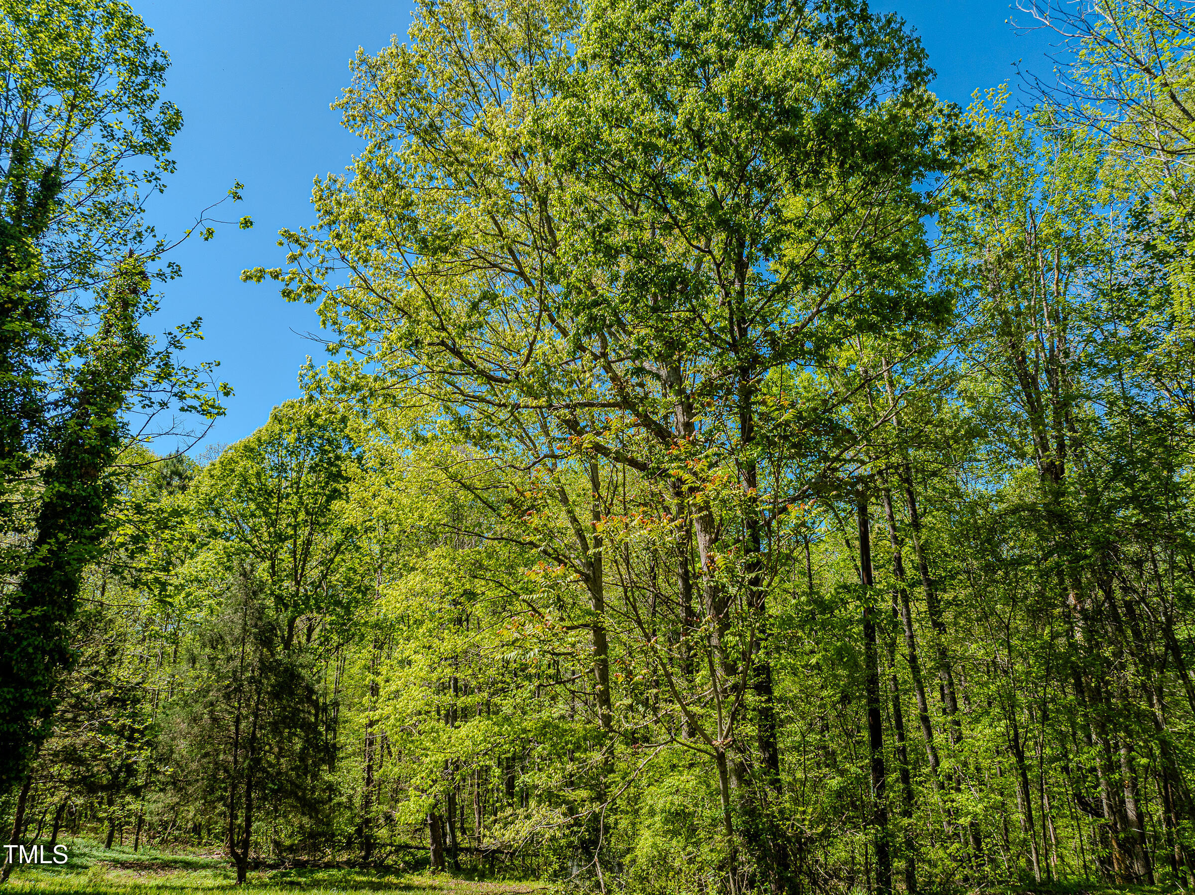 616 Watkins Road Hillsborough, NC 27278 - Photo 14 of 28 Watkins Two-17