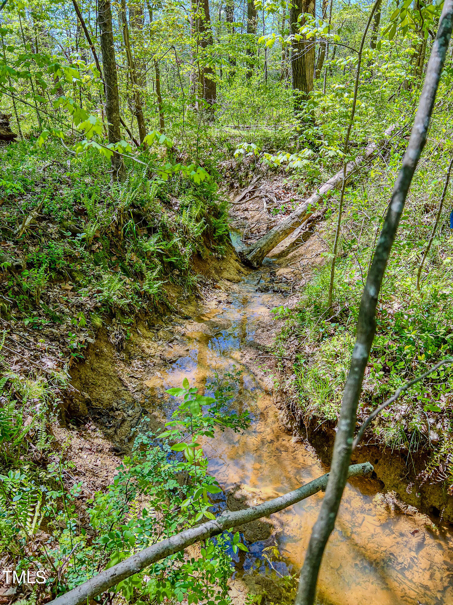 616 Watkins Road Hillsborough, NC 27278 - Photo 15 of 28 Watkins Two-42