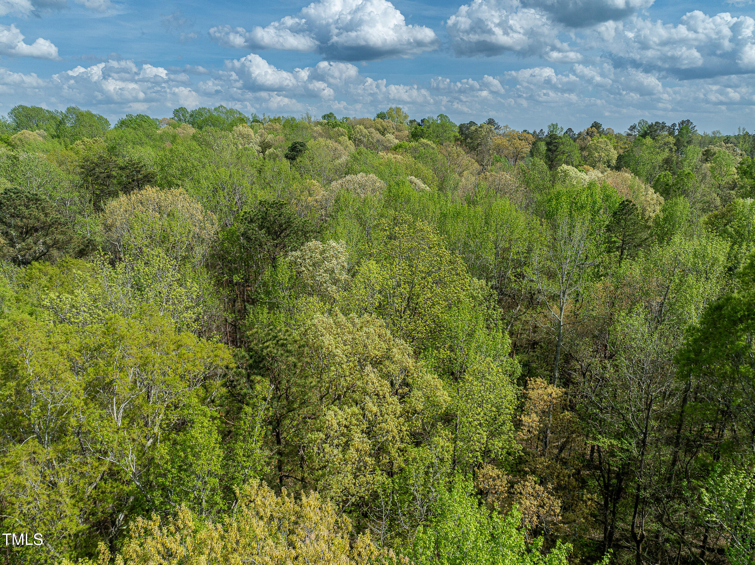 616 Watkins Road Hillsborough, NC 27278 - Photo 17 of 28 WATKINS RD-30