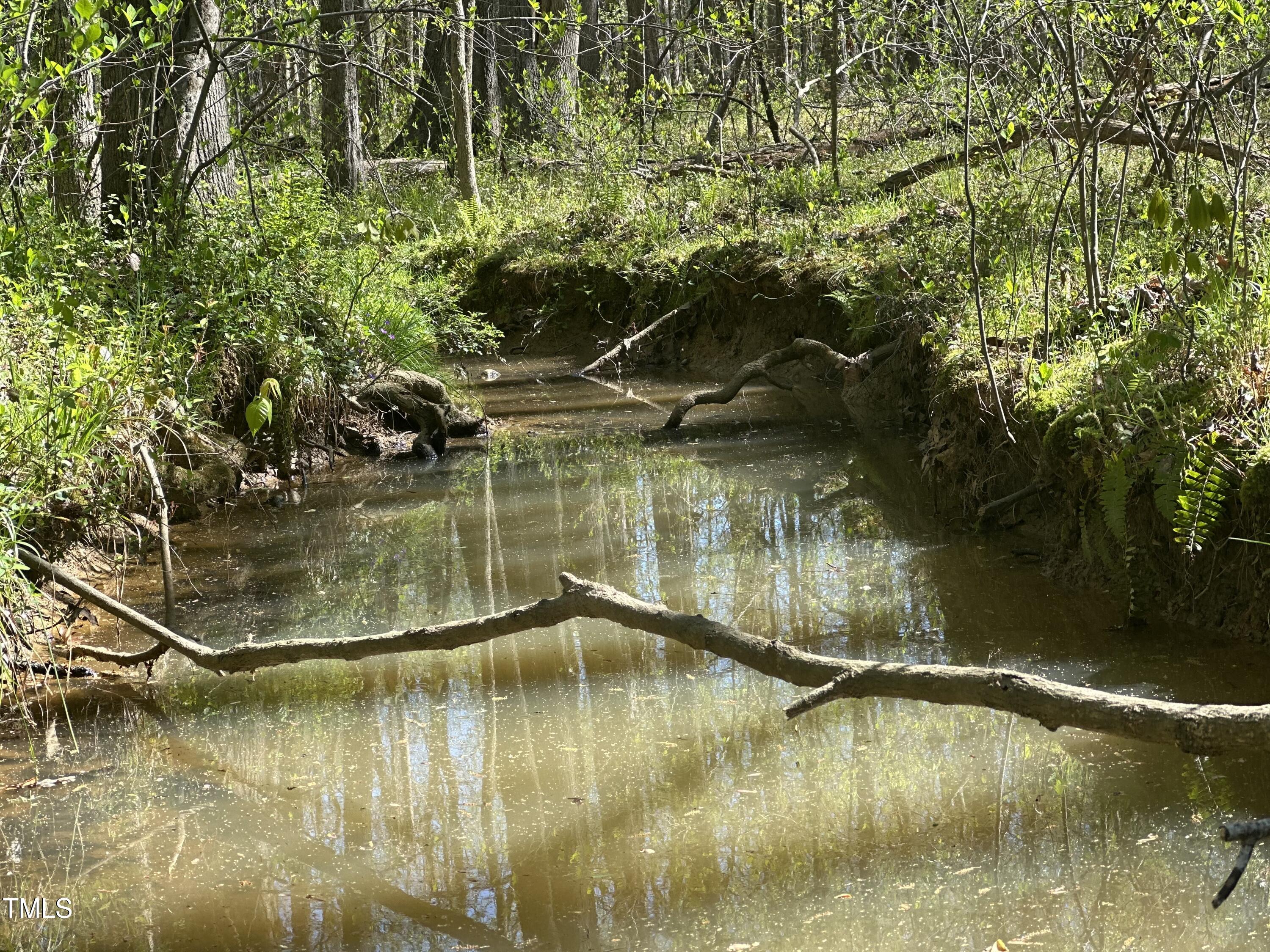 616 Watkins Road Hillsborough, NC 27278 - Photo 24 of 28 IMG_4535