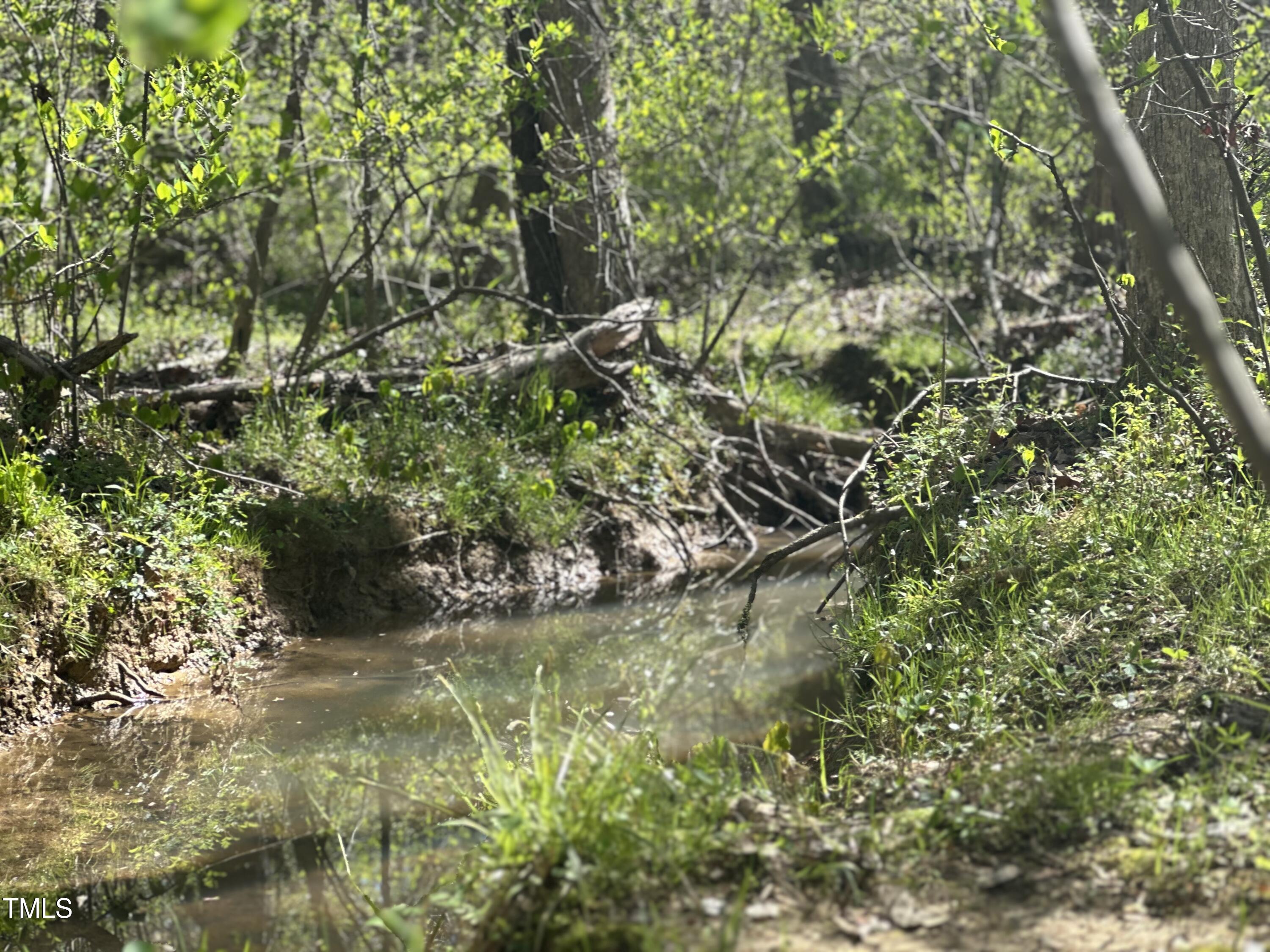 616 Watkins Road Hillsborough, NC 27278 - Photo 25 of 28 IMG_4534