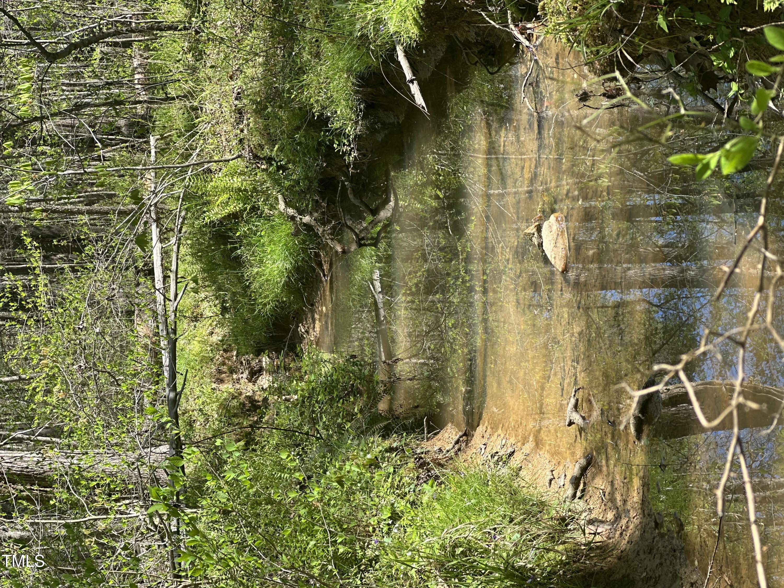 616 Watkins Road Hillsborough, NC 27278 - Photo 26 of 28 IMG_4536