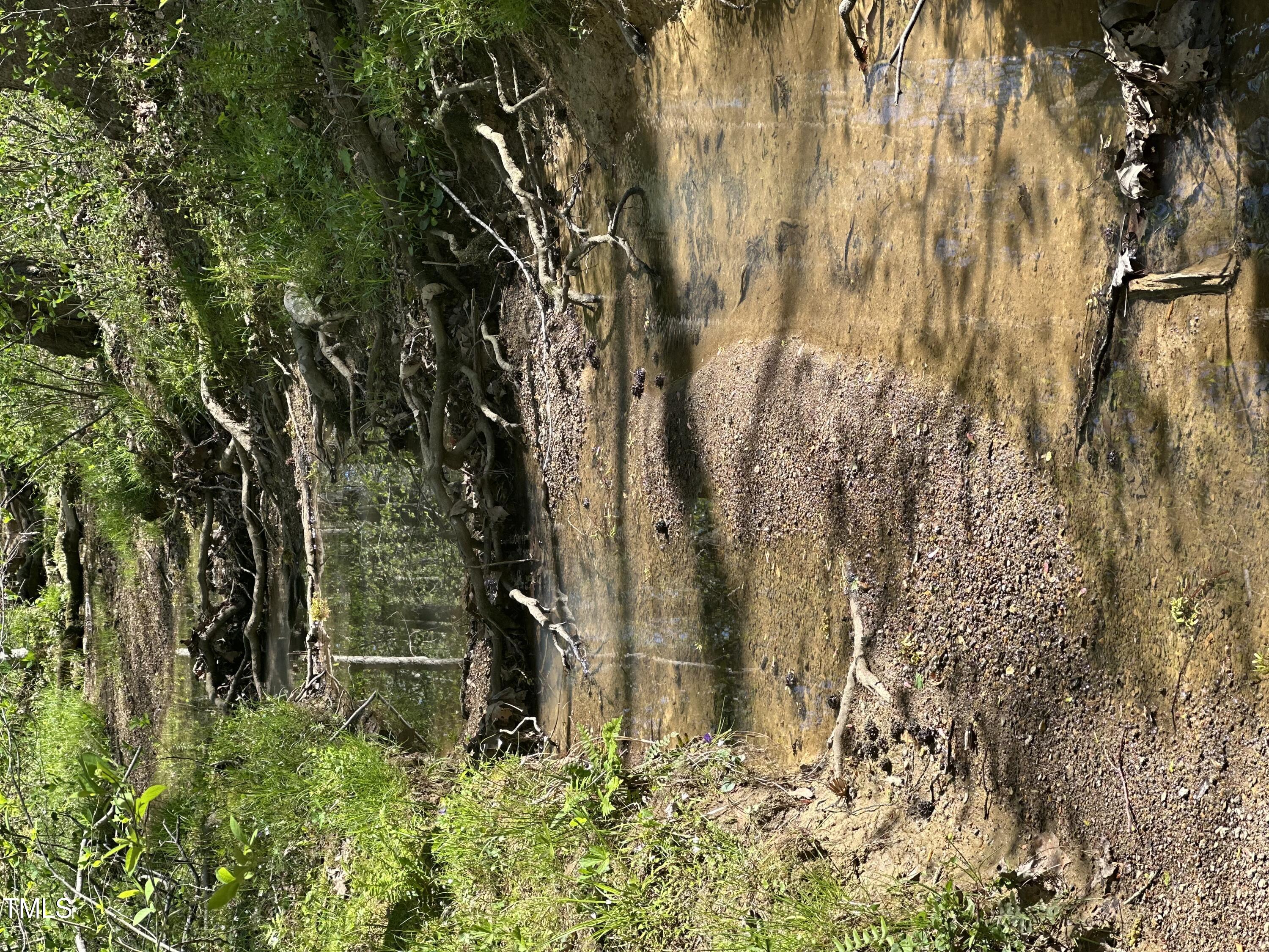616 Watkins Road Hillsborough, NC 27278 - Photo 27 of 28 IMG_4531