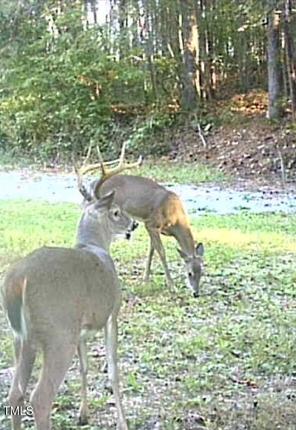 616 Watkins Road Hillsborough, NC 27278 - Photo 28 of 28 IMG_5226