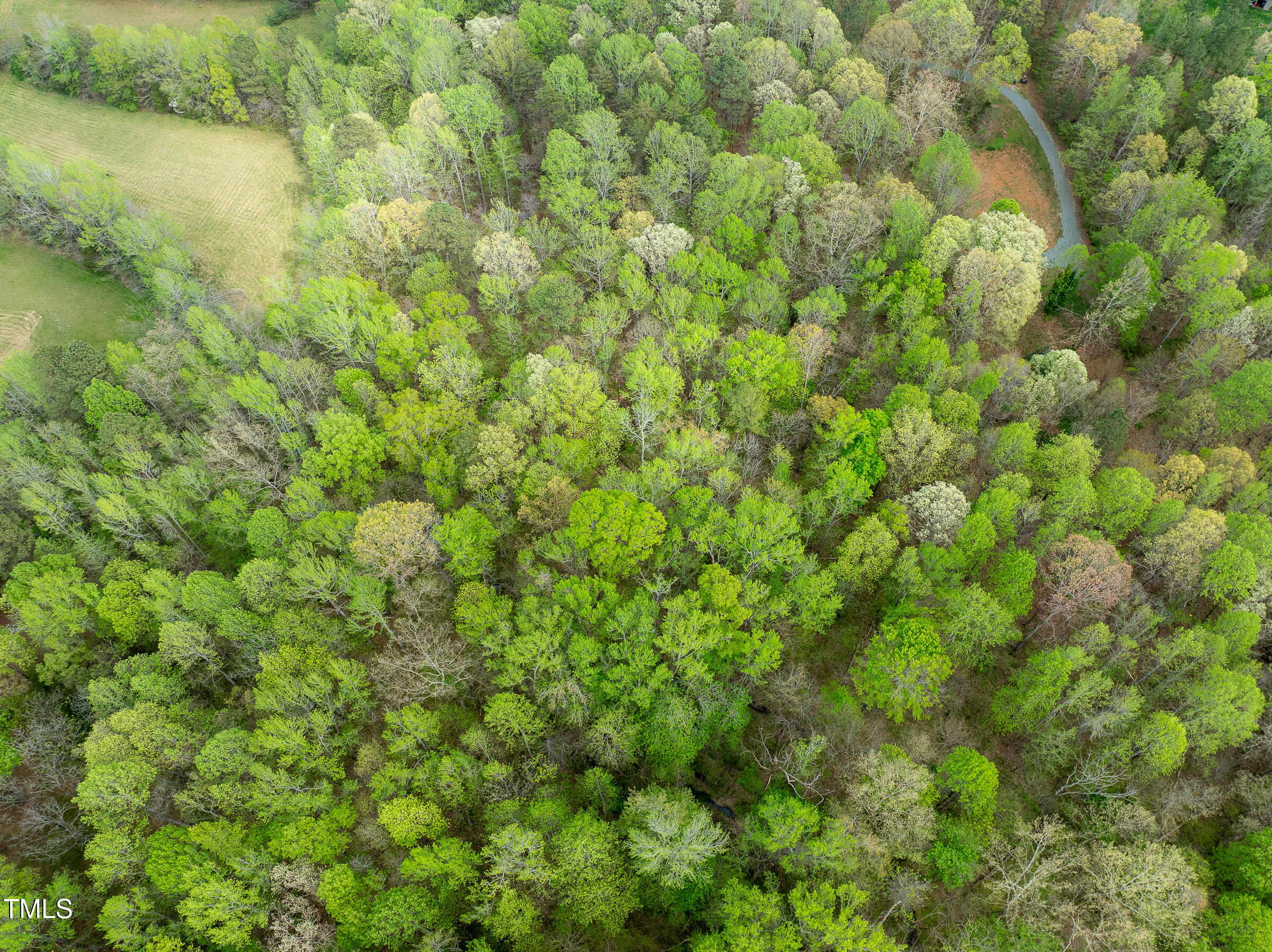 616 Watkins Road Hillsborough, NC 27278 - Photo 4 of 28 WATKINS RD-10