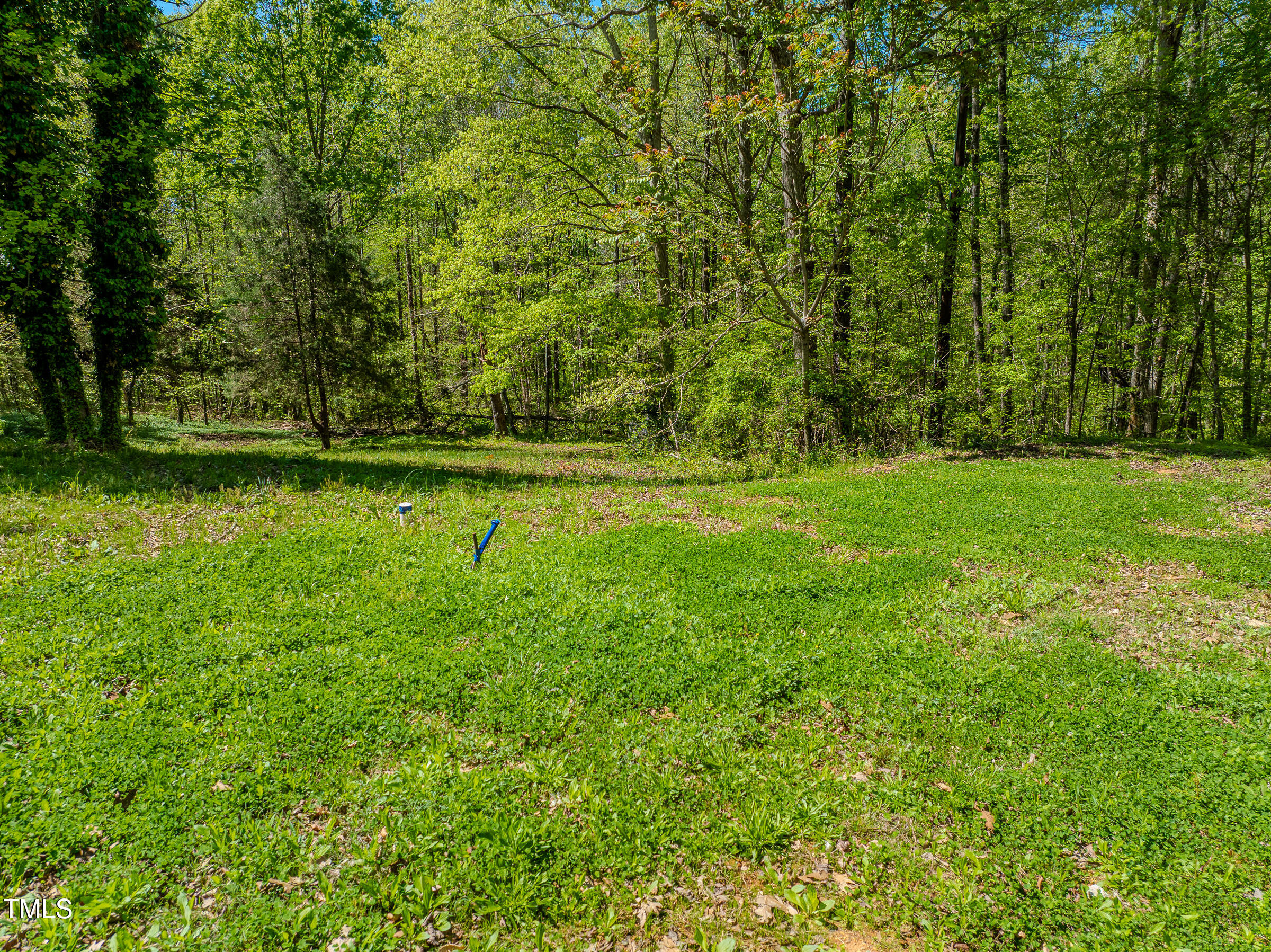 616 Watkins Road Hillsborough, NC 27278 - Photo 5 of 28 Watkins Two-18