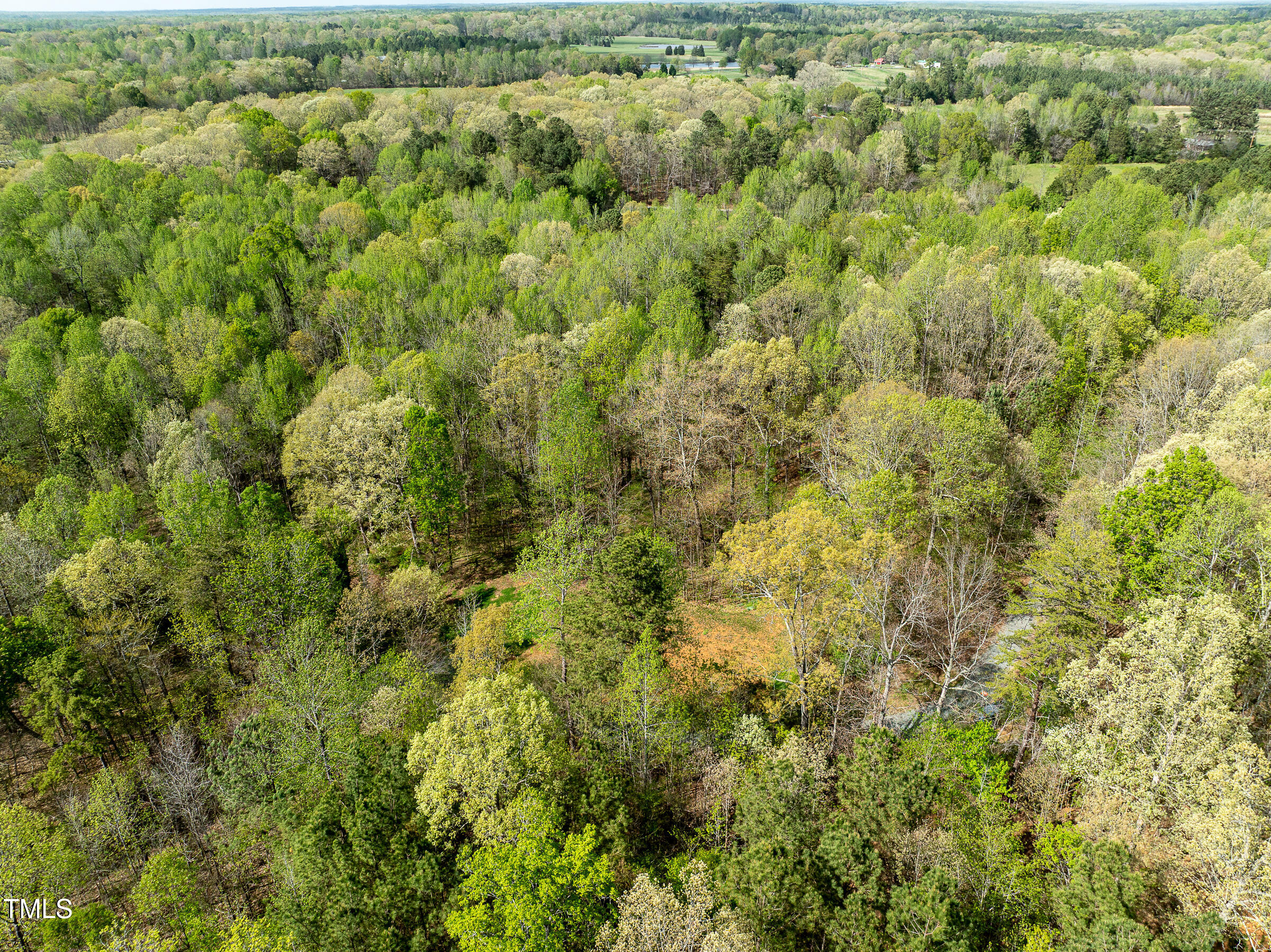 616 Watkins Road Hillsborough, NC 27278 - Photo 8 of 28 WATKINS RD-45