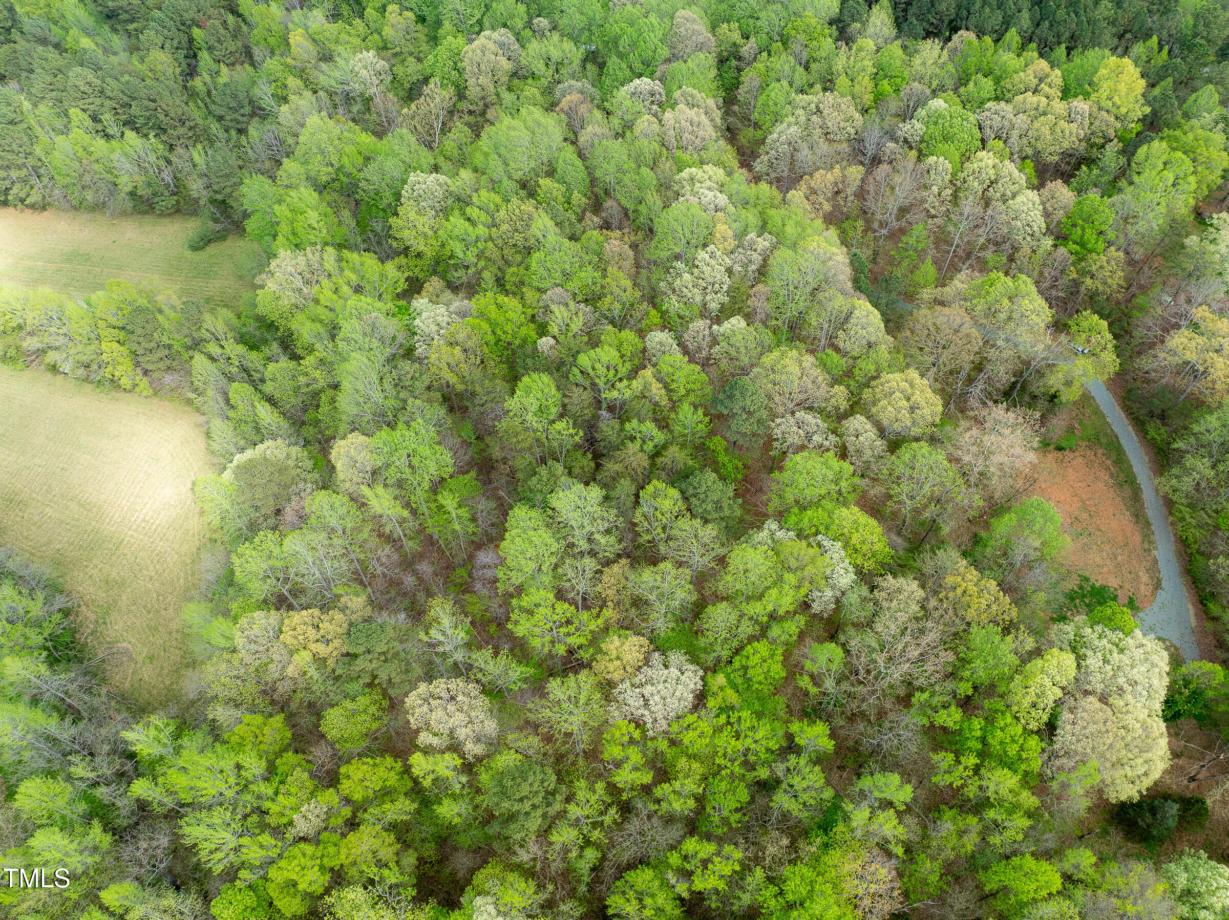 616 Watkins Road Hillsborough, NC 27278 - Photo 9 of 28 WATKINS RD-11