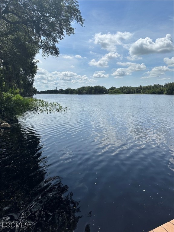 5 Aloe Alva, FL 33920 - Photo 36 of 37 a view of lake
