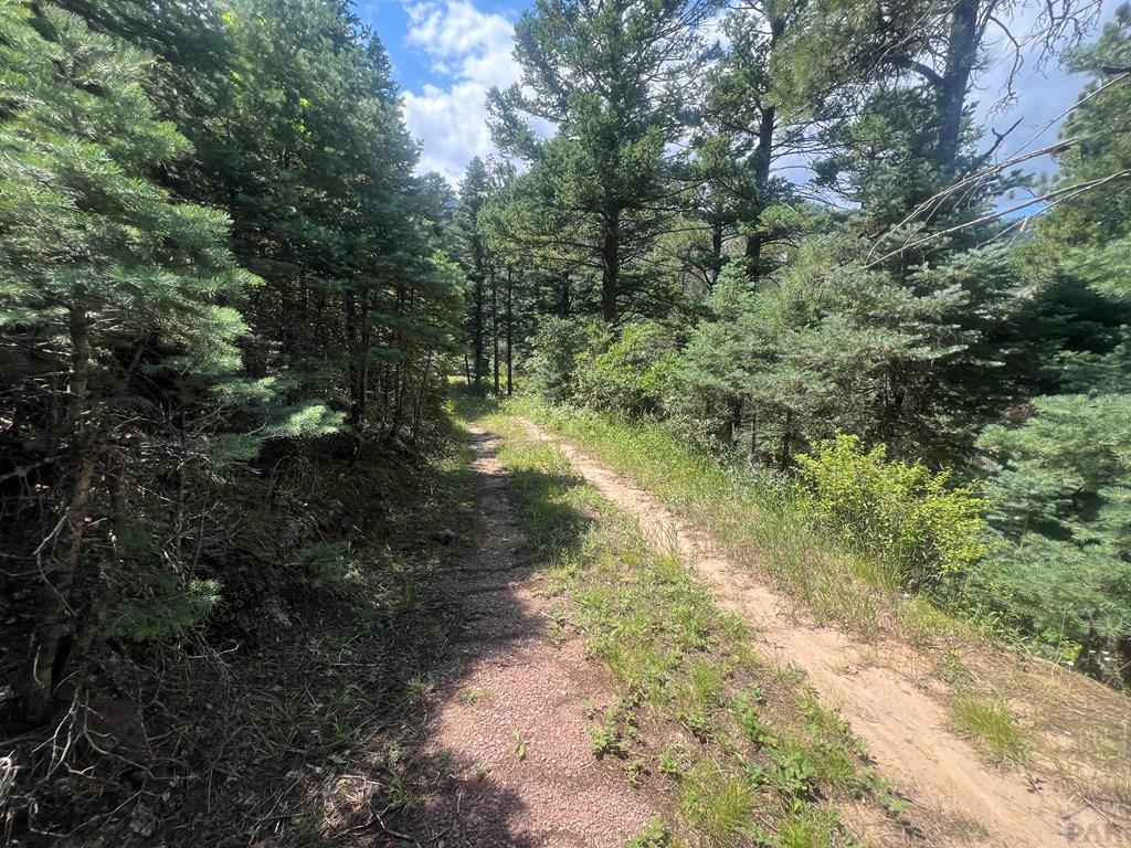 Tbd Bartlett Trail Rye, CO 81069 - Photo 6 of 20 Gallery Image 6