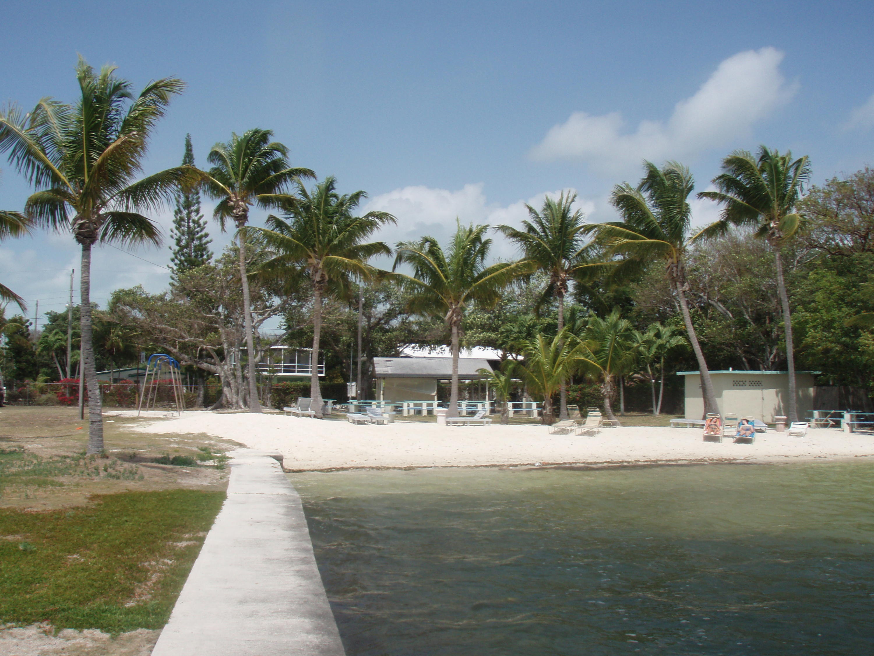 14 Jewfish Avenue Key Largo, FL 33037 - Photo 35 of 44 a view of a yard with palm trees
