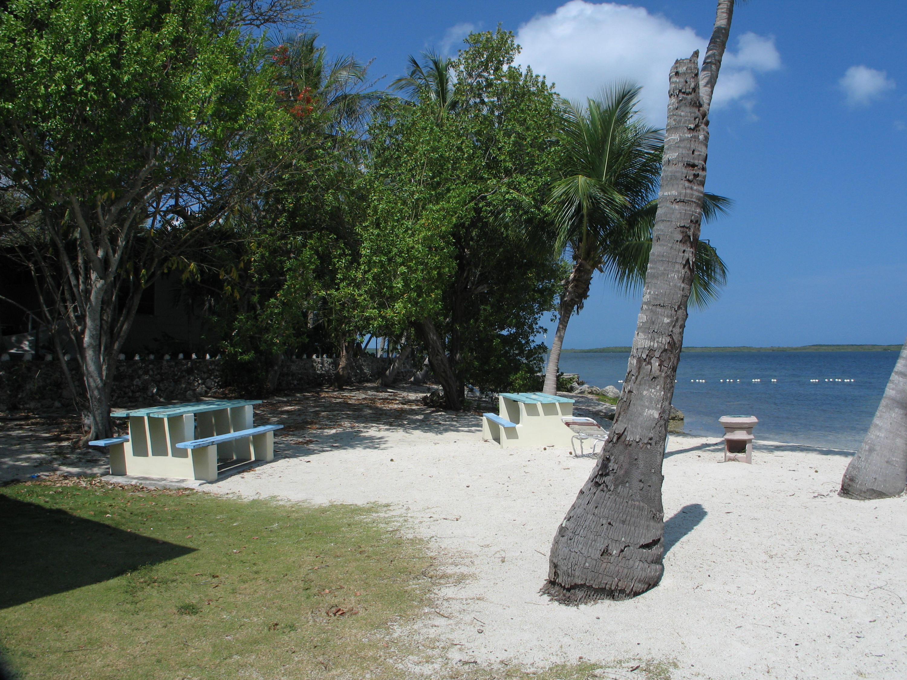 14 Jewfish Avenue Key Largo, FL 33037 - Photo 41 of 44 a view of outdoor space yard and patio