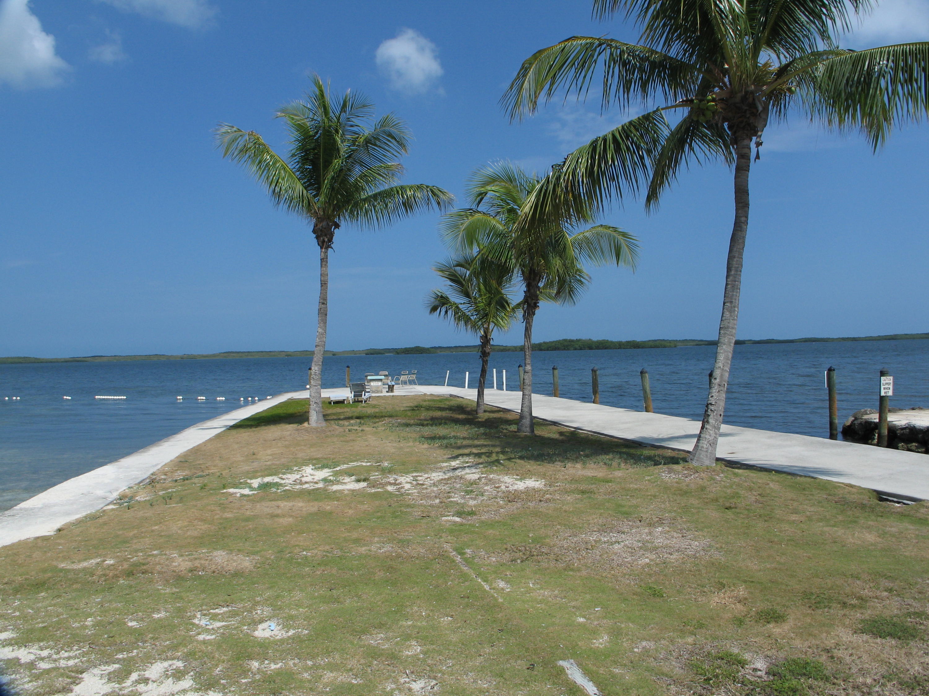 14 Jewfish Avenue Key Largo, FL 33037 - Photo 44 of 44 a view of a swimming pool with a yard