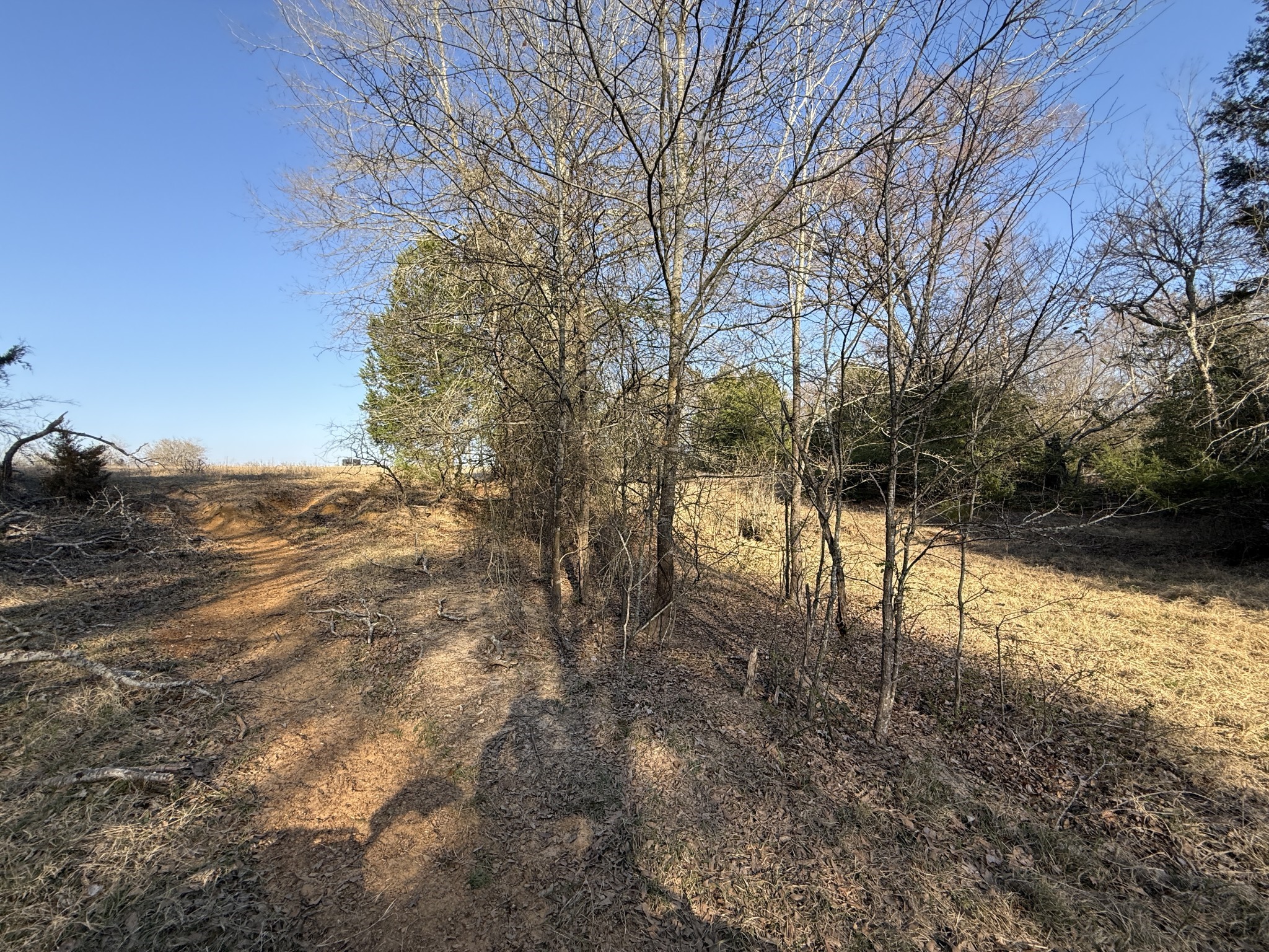 9 Fcr 445 Fairfield, TX 75840 - Photo 12 of 22 a view of a yard with a tree