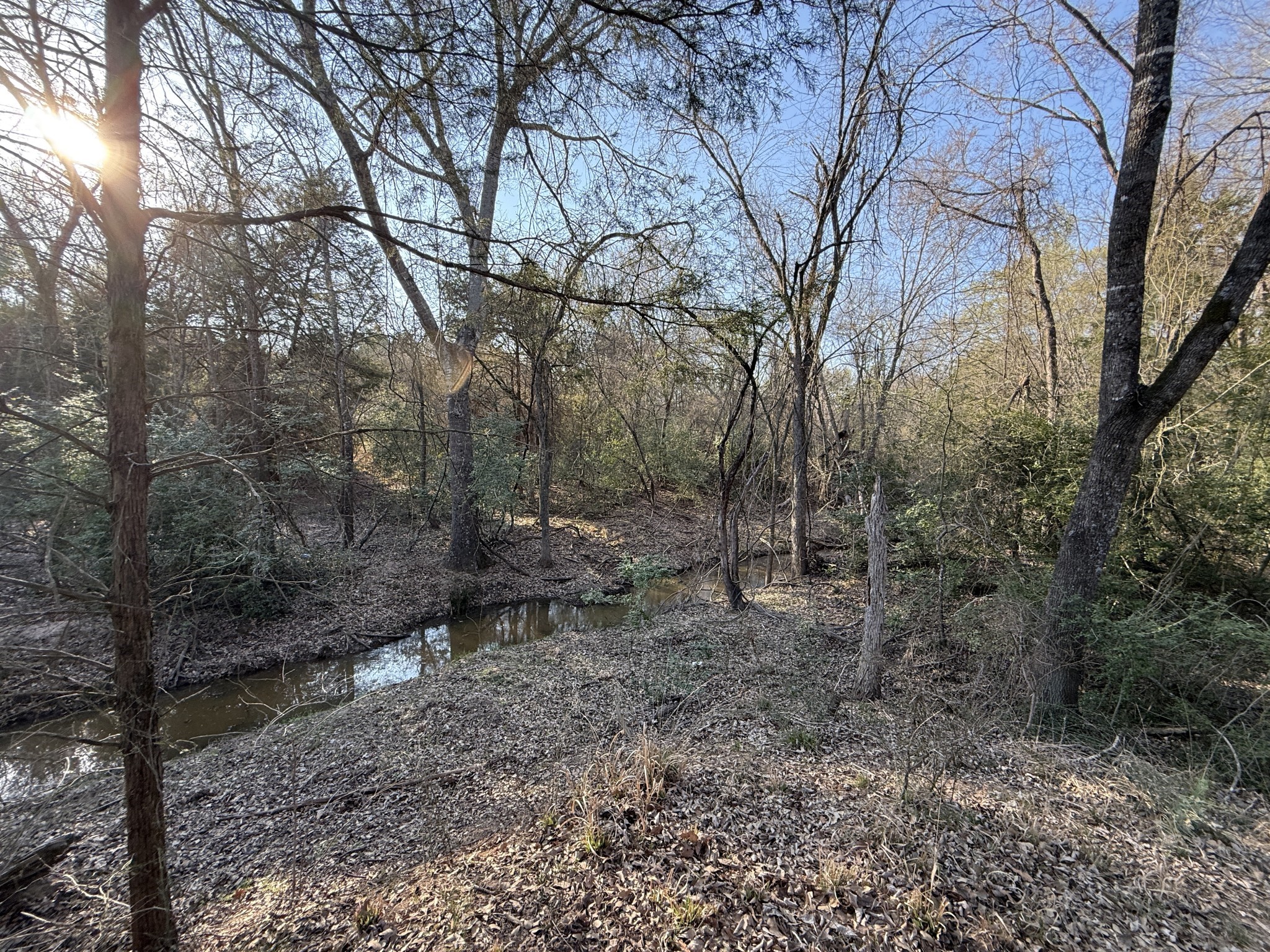 9 Fcr 445 Fairfield, TX 75840 - Photo 15 of 22 a view of a forest filled with trees