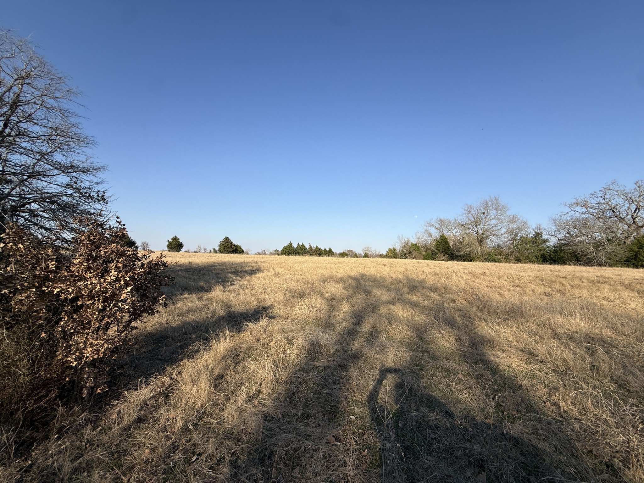 9 Fcr 445 Fairfield, TX 75840 - Photo 17 of 22 a view of a outdoor space with mountain view