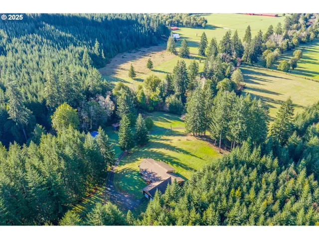 a view of a yard with flower plants