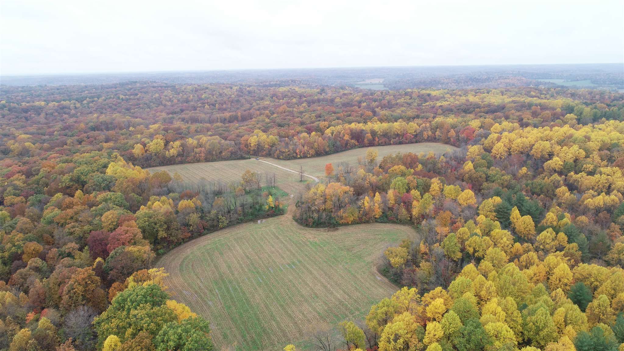 Williams Rd Shoals Mitchell, IN 47446 - Photo 1 of 15