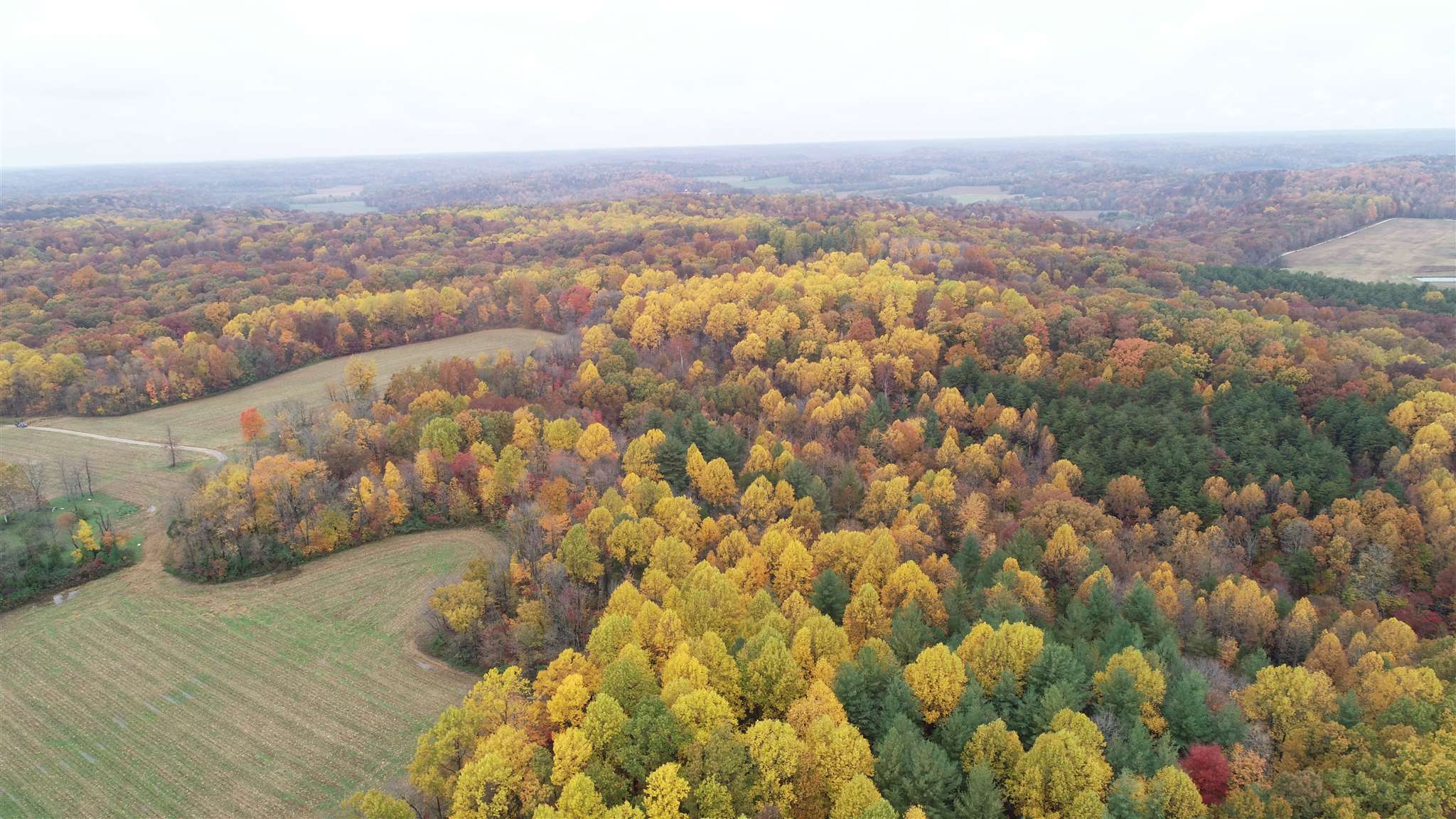 Williams Rd Shoals Mitchell, IN 47446 - Photo 2 of 15