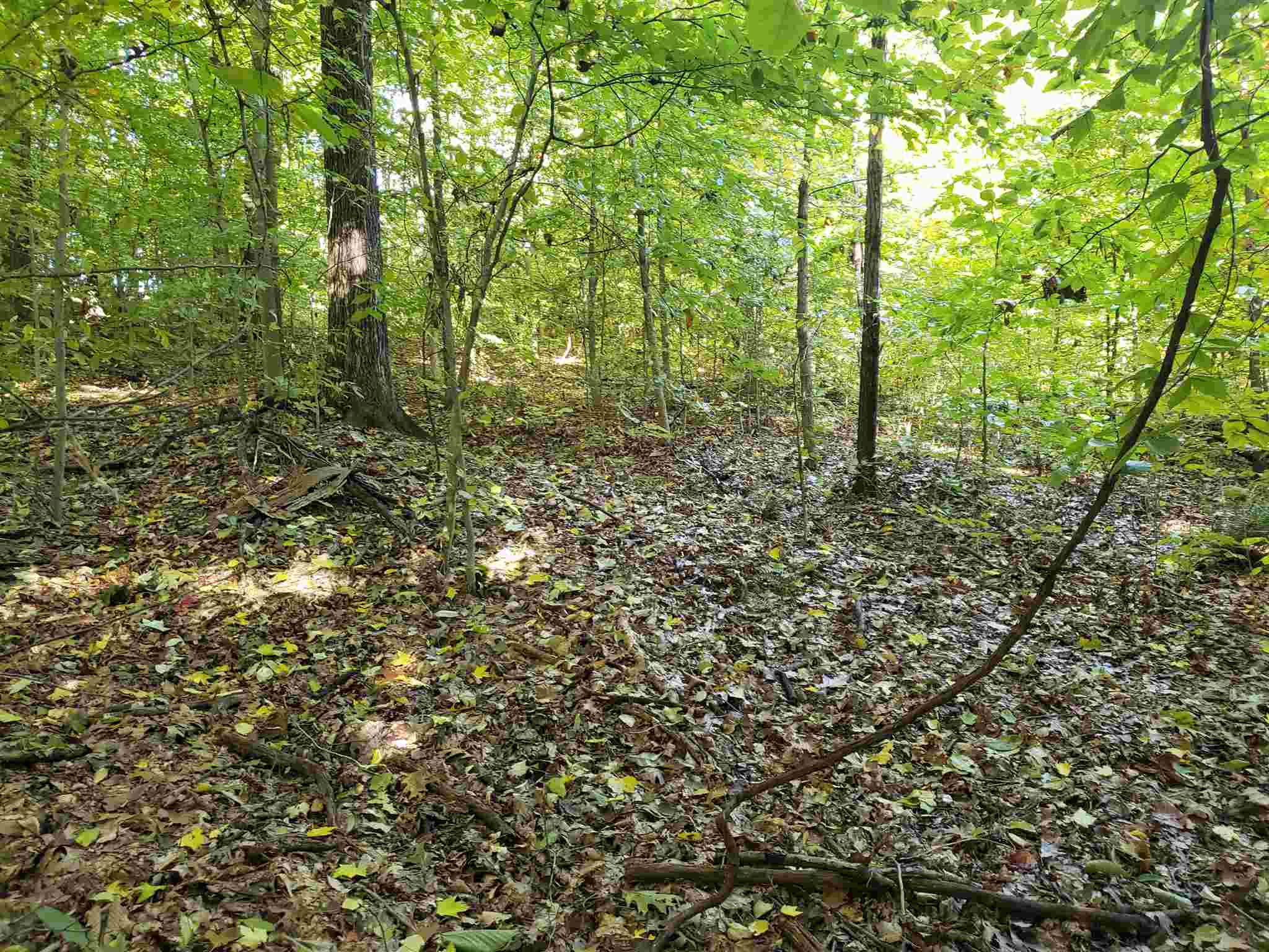 Williams Rd Shoals Mitchell, IN 47446 - Photo 12 of 15