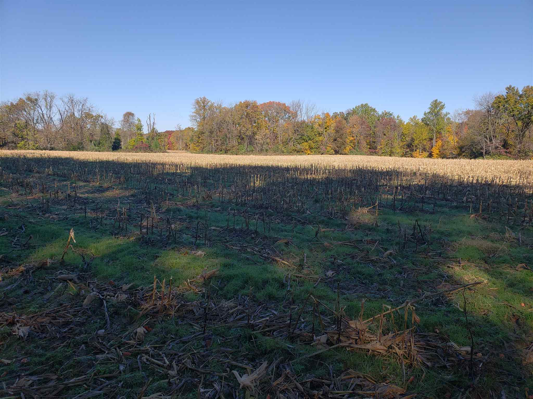 Williams Rd Shoals Mitchell, IN 47446 - Photo 13 of 15