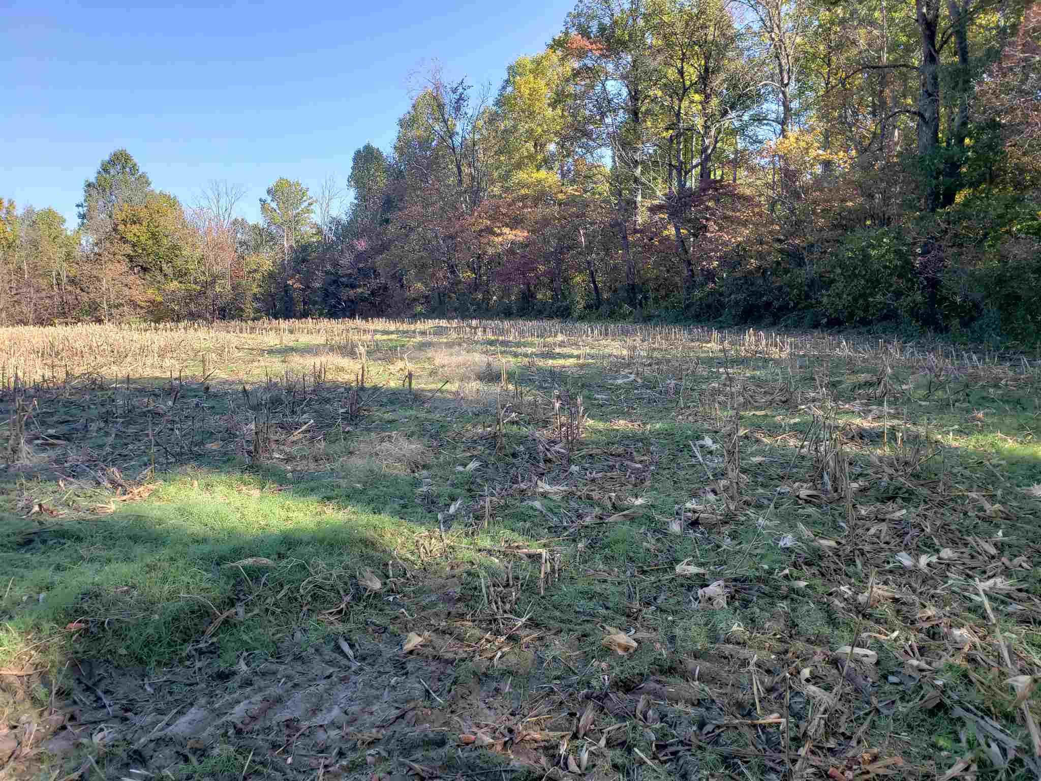 Williams Rd Shoals Mitchell, IN 47446 - Photo 14 of 15