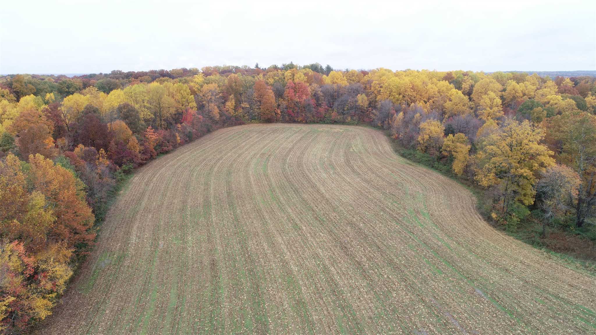 Williams Rd Shoals Mitchell, IN 47446 - Photo 3 of 15