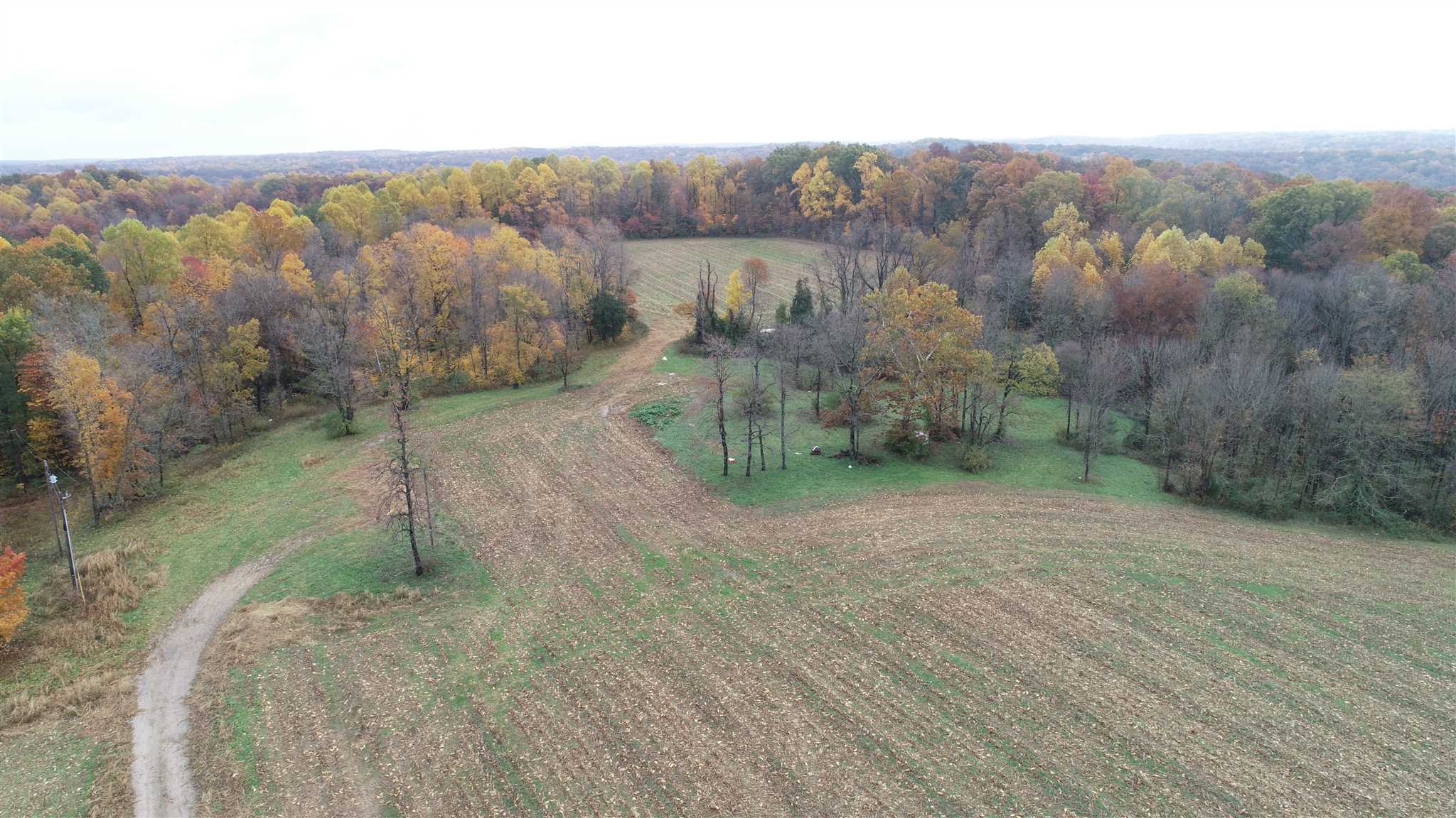 Williams Rd Shoals Mitchell, IN 47446 - Photo 4 of 15
