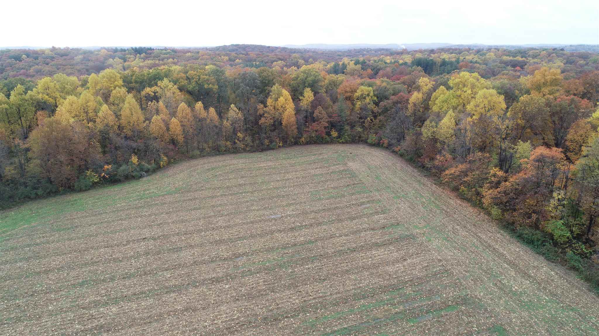 Williams Rd Shoals Mitchell, IN 47446 - Photo 5 of 15