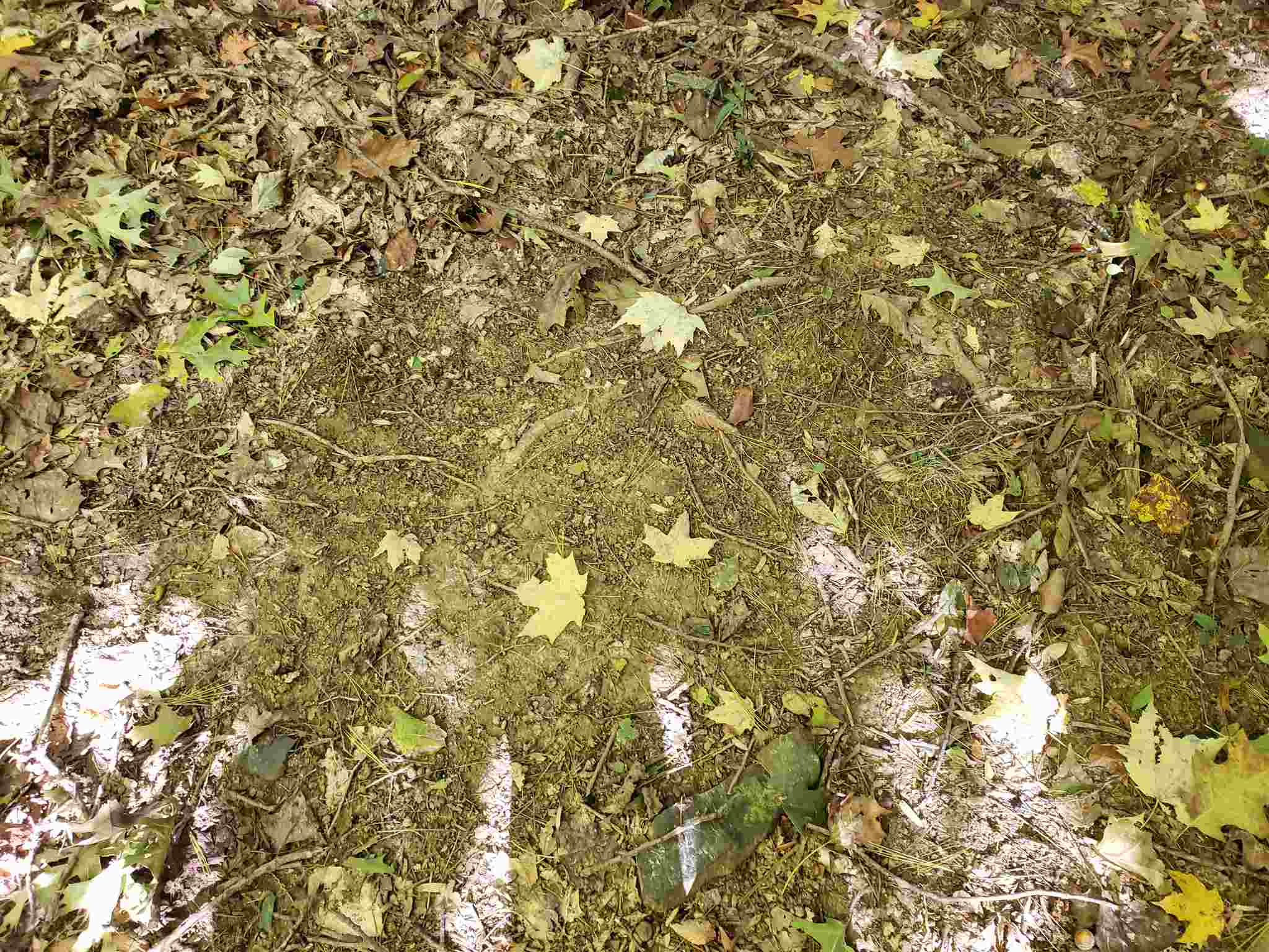 Williams Rd Shoals Mitchell, IN 47446 - Photo 7 of 15