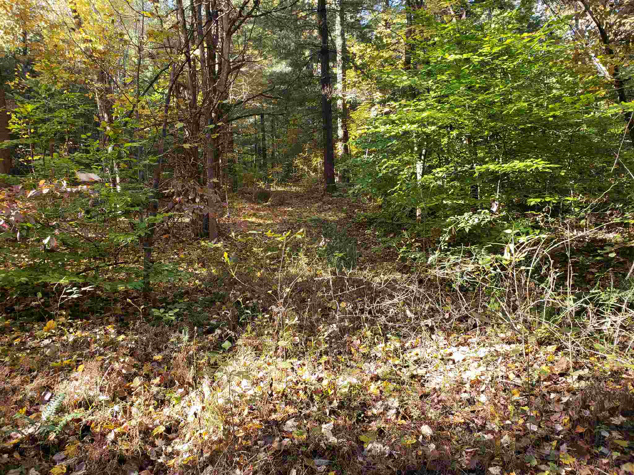 Williams Rd Shoals Mitchell, IN 47446 - Photo 8 of 15