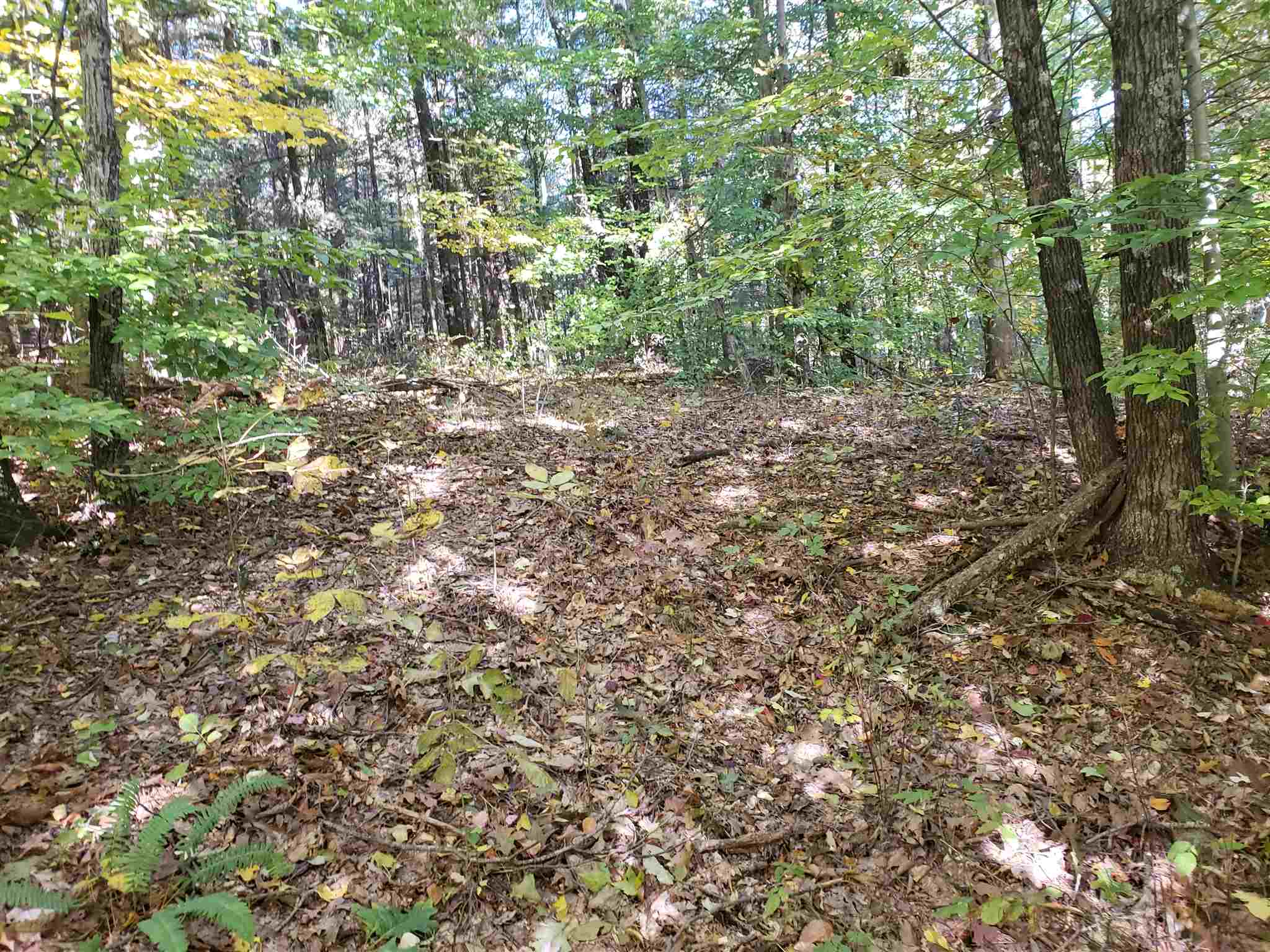 Williams Rd Shoals Mitchell, IN 47446 - Photo 10 of 15