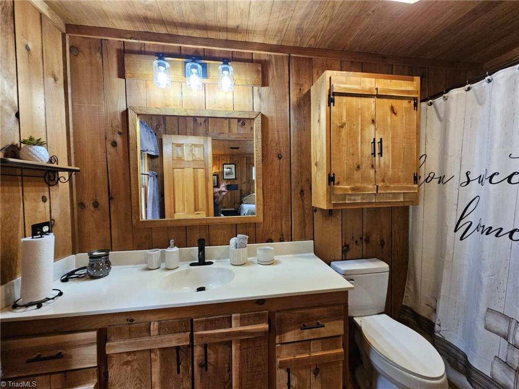 290 Jonathan Drive Lowgap, NC 27024 - Photo 29 of 50 Full Bath 2