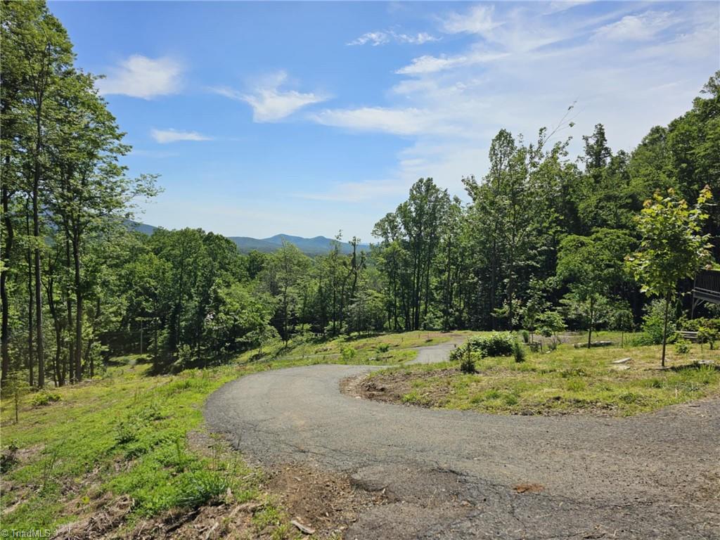 290 Jonathan Drive Lowgap, NC 27024 - Photo 35 of 50