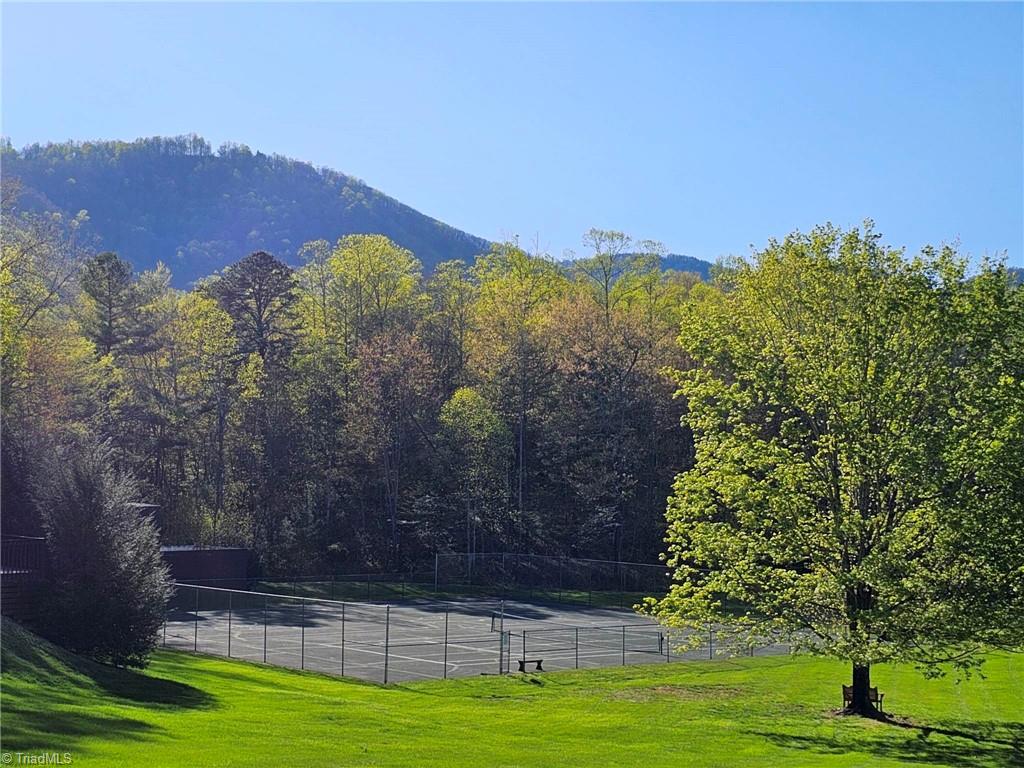 290 Jonathan Drive Lowgap, NC 27024 - Photo 37 of 50 Pickleball/Tennis/Basketball Courts