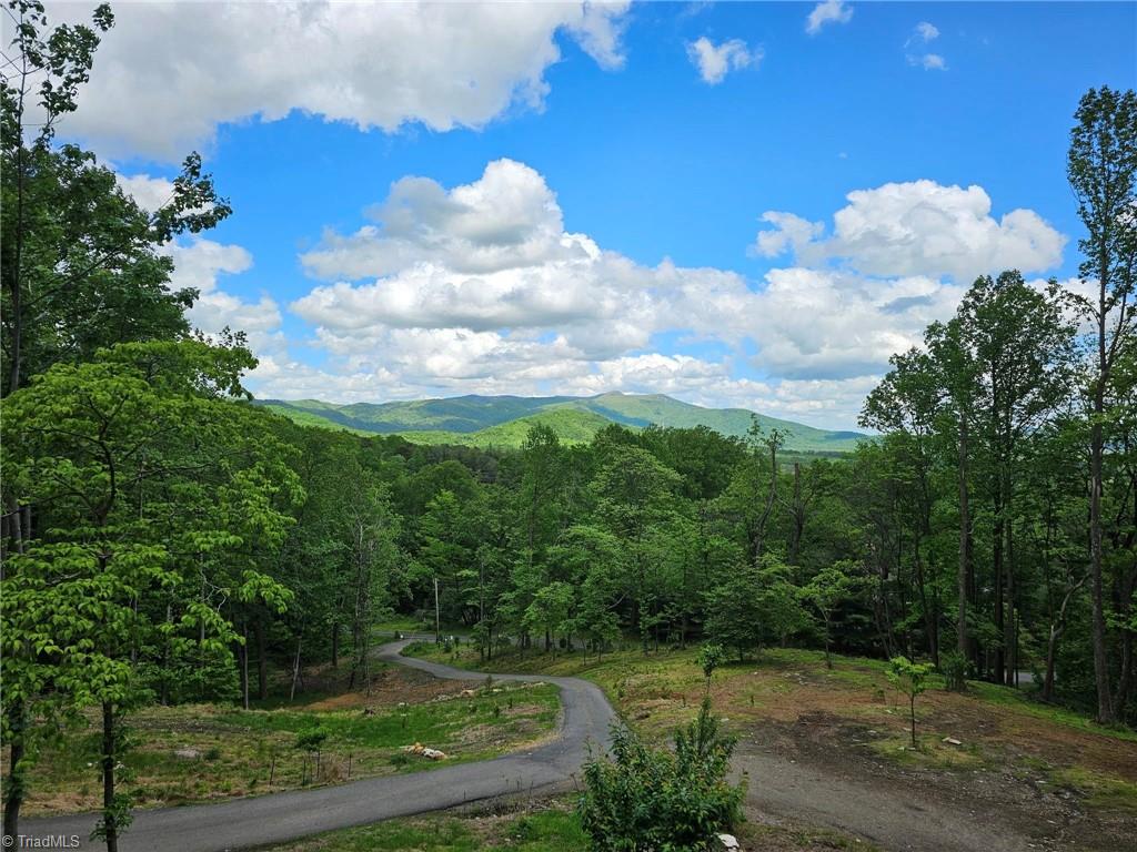 290 Jonathan Drive Lowgap, NC 27024 - Photo 4 of 50 Front porch view