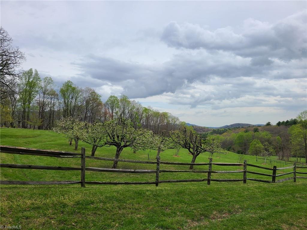 290 Jonathan Drive Lowgap, NC 27024 - Photo 45 of 50 Community Apple Orchard