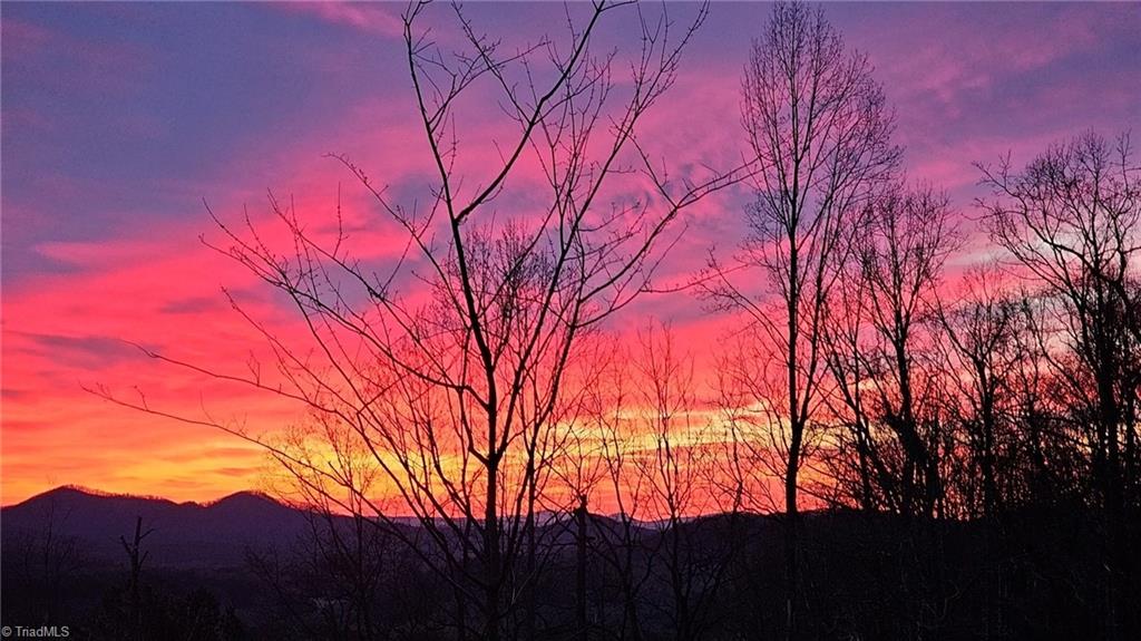 290 Jonathan Drive Lowgap, NC 27024 - Photo 8 of 50