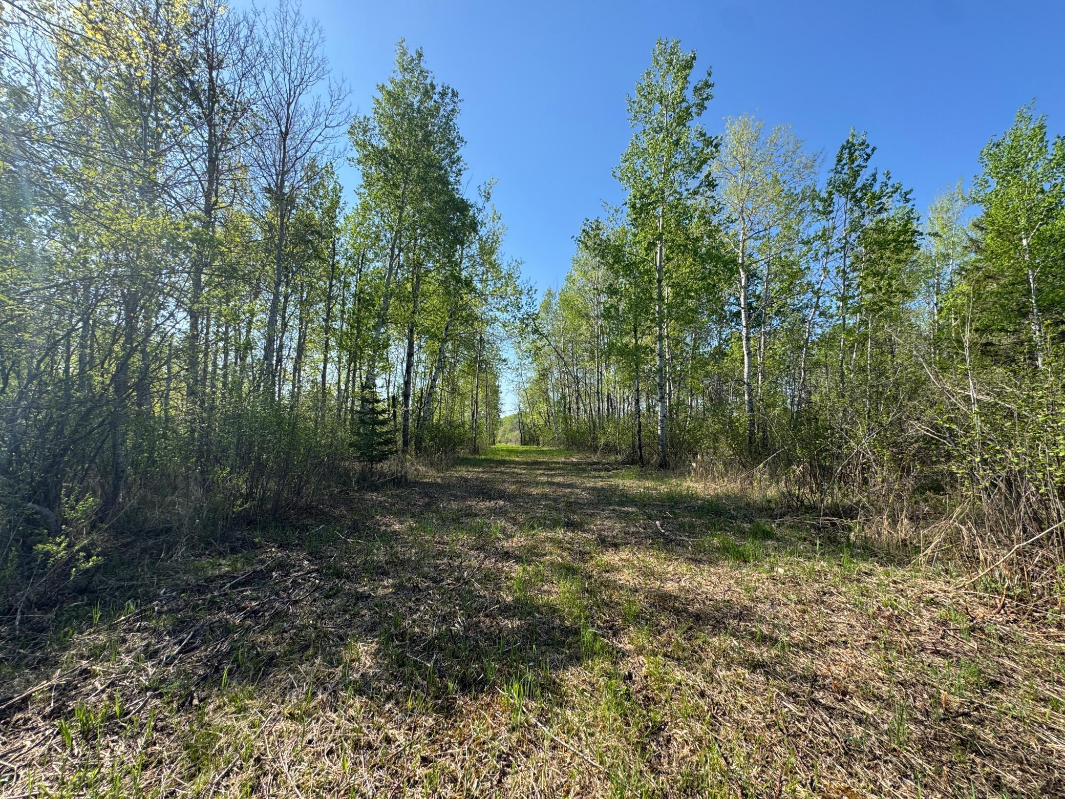 Tbd Skog Road Kettle River, MN 55757 - Photo 14 of 22