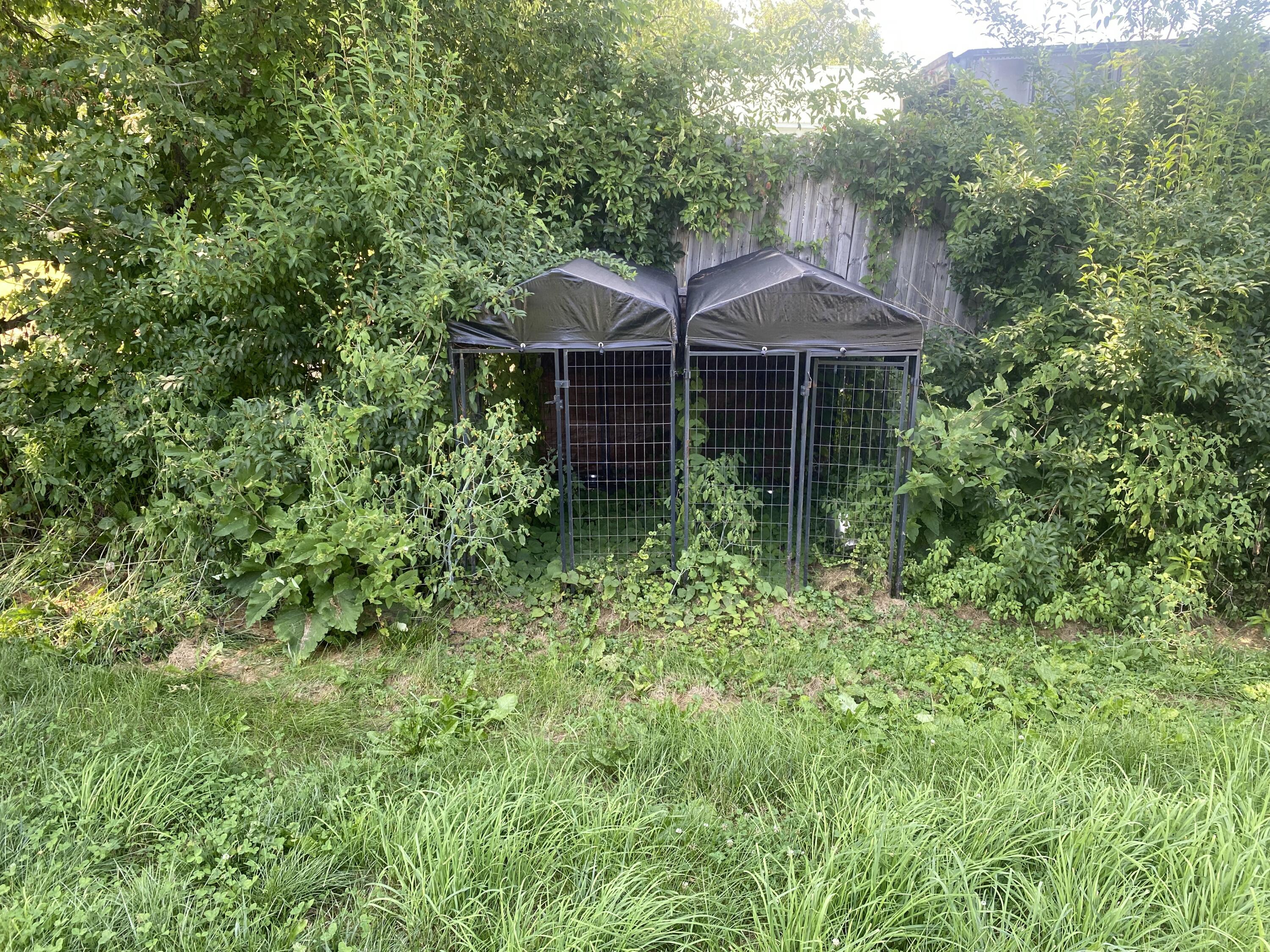 21 South Main Street Detroit, ME 04929 - Photo 35 of 35 IMG_4419