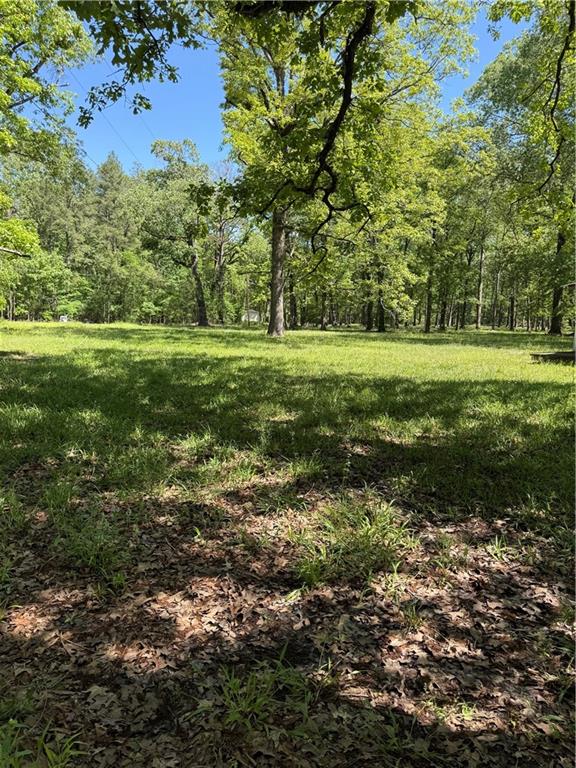 734 Nation Road Deville, LA 71328 - Photo 13 of 20