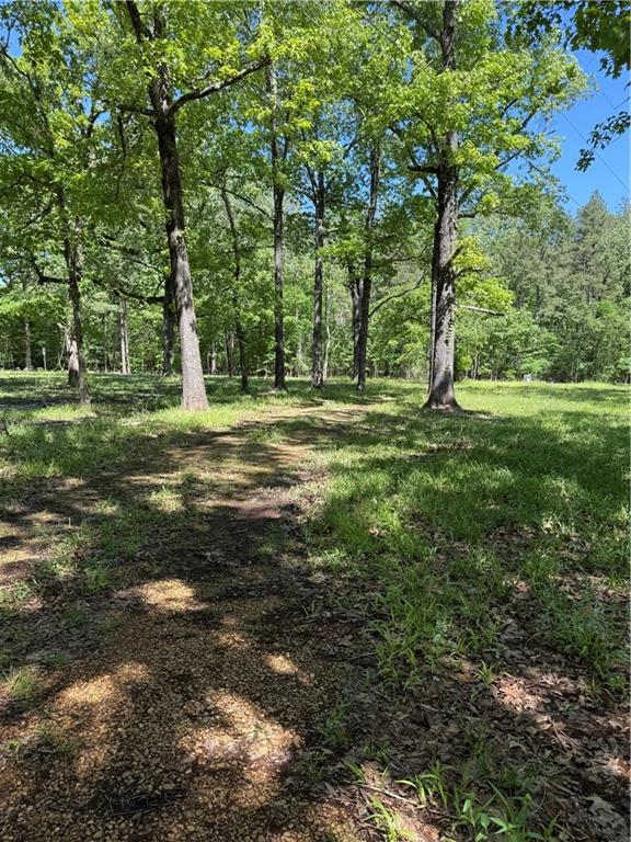 734 Nation Road Deville, LA 71328 - Photo 14 of 20