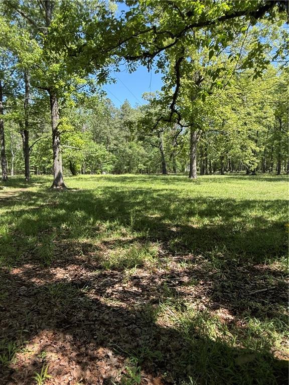 734 Nation Road Deville, LA 71328 - Photo 15 of 20