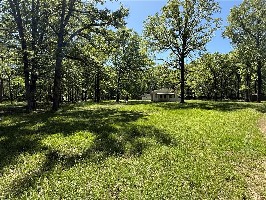 734 Nation Road Deville, LA 71328 - Photo 4 of 20