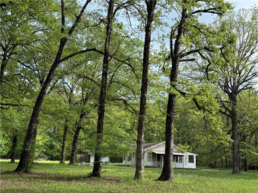 734 Nation Road Deville, LA 71328 - Photo 5 of 20